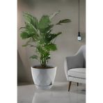 TEMMUZ HOME Büyük Boy Yakamoz Saksı 26 Litre İç ve Dış Mekan Saksı.