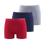 Tender Cotton 3'lü Asorti Boxer 9673-953 RENKLİ-953 2XL