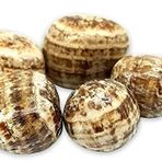 TENET - 3 adet doğal taş taşlı, kristal terapi, Reiki ve meditasyon için tambur taşı, 20-30 mm (ARAGONITE)