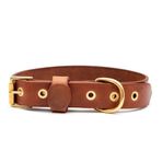Tengri Handmade Deri Köpek Tasması Açık Kahve M (36-45CM) Cl-Te-T-M