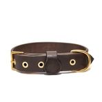 Tengri Handmade Deri Köpek Tasması Kahverengi M (36-45CM) Cl-Te-Br-M