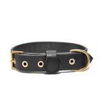 Tengri Handmade Deri Köpek Tasması Siyah L (46-55 Cm) Cl-Te-Bl-M