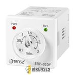 Tense ERP-03DY Zaman Rölesi