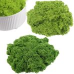 teokyat El işi için 200 g yosun, yapay yosun, bahçe, çiçek aranjmanları, el işi, duvar beşiği, akvaryum için sahte yosun, model yapımı, koyu yeşil 100 g + açık yeşil, 100 g