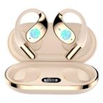 Tercüme kulaklıklar, çevirmen kulaklıkları,144 Diller Çeviri cihazı - Yüksek Accuracy HD Voice Kablosuz Kulaklık, Gerçek Zamanlı Konuşmalar İçin Tercüman Cihazı