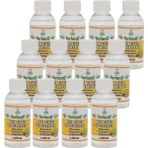 Terlans Kokusuz Terebentin 12 x 100 Ml