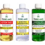 Terlans Yağlı Boya Seti Yardımcı Malzemeler 3 x 250 ml Kokusuz Terebentin Keten Yağı Fırça Temizleyici