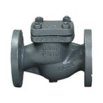 Termo Yaylı Çekvalf, Pn 16 GG25, Flanşlı - DN20