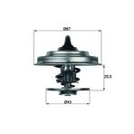 Termostat (71°) Actros Atego Axor Cıtaro Tourıno T 0012033975
