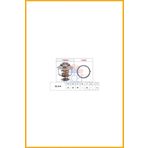 Termostat Ford Ranger 2.5d 2.5td 98-12 Mazda B2500 98-