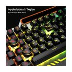Terra Organik KB123 USB Kablolu Oyuncu Klavye - Efektli, Mekanik Hisli Sessiz, Membran Gaming Türkçe Q Klavye Metalik Gri - Option-1 - 001-Renkli