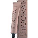 Terra Organik Professional Igora Absolutes 7-60 Kumral-Çikolata Doğal - Adaçayı Yeşili