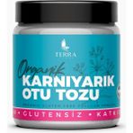 Terra verde Organik karnıyarık otu glutensiz psyllium tozu 100 g