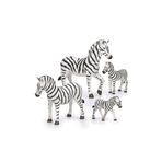 Terra Zebra Ailesi