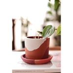 Terracotta Saksi + Tabak Bordo Beyaz 10x9cm