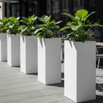 TerraGuard Demonte Dikey Metal Saksı 70x32x32cm Paslanmaz Büyük Saksı İç ve Dış Mekan (Siyah)