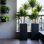 Terraguard Demonte Dikey Metal Saksı - 70X32X32CM Paslanmaz - Siyah