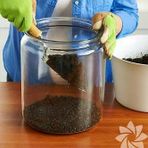 TERRARIUM Toprağı, Sukulent, Kaktüs TOPRAĞI Organik Toprak