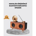 Terrien Nostaljik Gramofon Bluetooth Hoparlör – Fm Radyo + USB + Sd Kart Destekli - Çok Renkli