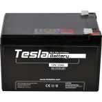 Tesla AGM Kuru Tip 12 V 12 Ah Akü