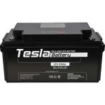 Tesla AGM Kuru Tip UPS 12 V 65 Ah Akü