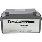 Tesla Deep Cycle Jel 12 V 65 Ah Akü