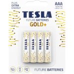 Tesla Gold AAA İnce Kalem Pil LR03/MN2400 1.5V Alkalin 4’lü Paket | – Yüksek Performans, Uzun Ömürlü Enerji - 4'lü