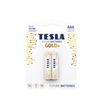 Tesla Gold+ Serisi Alkalin AAA Pil (İnce Kalem Pil) Geleceğin Pilleri