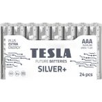 Tesla Silver AAA İnce Kalem Pil 1,5V LR03,MN2400 Alkalin-24'lü Paket Uzun Ömürlü
