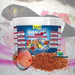 Tetra 10 lt Pro Colour Kova Balık Yemi