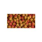 Tetra Cichlid Colour Mini Granules 100 gr Balık Yemi