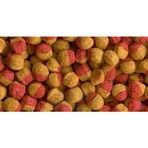 Tetra Cichlid Colour Mini Granules 500 gr Balık Yemi