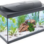 Tetra Starter Line 54 l akvaryum komple set – gündüz ve gece lambası LED aydınlatma, iç filtre, ısıtıcı, balık yemi ve su hazırlama cihazı dahil