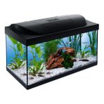 Tetra Starter Line Led Akvaryum 54 Litre