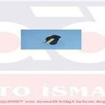 TEVZİ MAKARASI R11 FLASH 1.7 (ORJ.ÜRÜN)