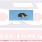 TEVZİ MAKARASI R9 SPRİNG (ORJ.ÜRÜN)