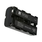 TEWISE FB Sony NP-F550 Led Işık Bataryası (2200 mAh)