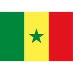 Tezzgelsin Senegal Gönder Bayrağı 70X105 Cm. - Renkli - 1 Adet