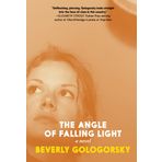 The Angle of Falling Light: A Novel