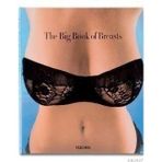 THE BIG BOOK OF BREASTS - DIAN HANSON