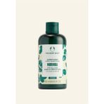 The Body Shop Moringa Işıltı Veren Koruyucu Saç Kremi 250ML - 1