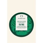 The Body Shop Vegan Çay Ağacı Peeling 240 ML Yağlı Saçlar için Dengeleyici ve Arındırıcı Etki
