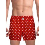 The Don Kırmızı - Beyaz Erkek Boxer TDNPOP110