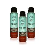 The End Antiperspirant Ter Önleyici Leke Yapmayan Erkek Sprey Deodorant 150 ml x 3