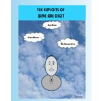 The Exploits of Bine Ari Digit (Bine Ari Digit Adventures)