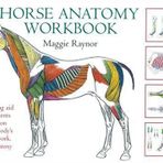 The Horse Anatomy Workbook: A Learning Aid for Students Based on Peter Goody's Classic Work, Horse Anatomy (Allen Student) by Maggie Raynor (2005-06-01)