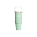 The IceFlow Flip Straw Pipetli Termos Bardak 0.89 LT Matara YEŞİL