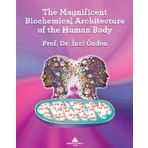 The Magnificent Biochemical Architecture Of The Human Body - İnci Özden