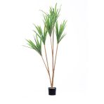 The Mia Dracaena 4 Dallı 180 cm Yapay Ağaç