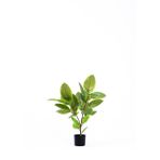 The Mia Ficus Altissima Yeşil 2 Dallı 90 cm Yapay Ağaç